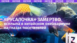 «Русалка» захлебнулась после приступа в океанариуме. Все случилось на глазах посетителей в Китае