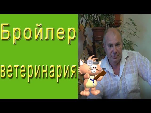 Ветеринарный аспект выращивания бройлеров