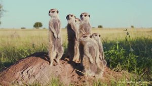 #Islam#Quran#ArRad#Minshawiy#Коран#АрРад#СамыеКрасивыеМеста#Relaxation#4кВидео#8часть#