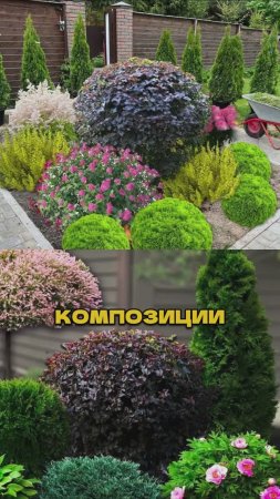 Никогда Не Сажай Участок Не Зная Этих 7 Фишек!🌱🚫