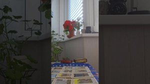 Что произойдет до конца месяца