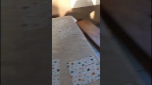 привет из Новой жизни