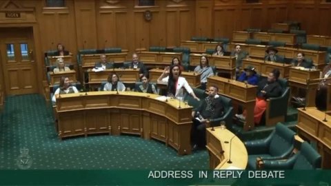 Танец маори хака в парламенте Новой Зеландии