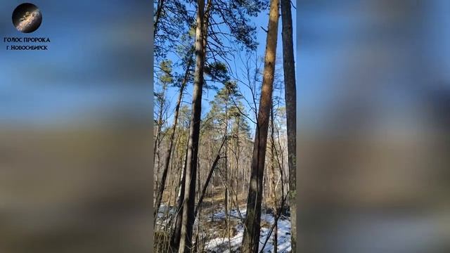 Повтор 💥 МОЛИТВА БОГУ В СИБИРСКОМ ЛЕСУ 🙏