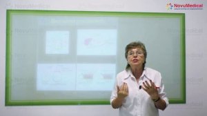 ИНСУЛИНОРЕЗИСТЕНТНОСТЬ. Профессор Шувалова простым языком.