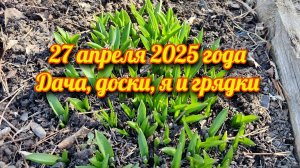 27 апреля 2025 года Дачный влог