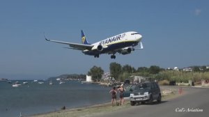 Многие очевидцы помадку даванули... :)...#лучшие видео#видео#видео бесплатно