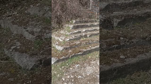 1000327535.mp4 НАЛЬЧИК. 28.03.2024. Мои прогулки и путешествия. Подъем к лесничеству и Даче Хрущева