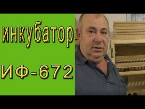 Инкубатор ИФ 672.  Купить инкубатор