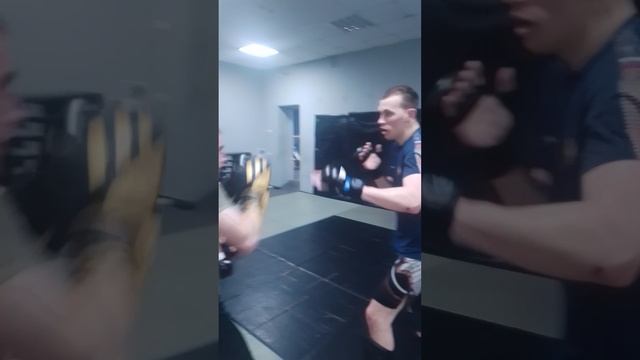 ММА спарринги