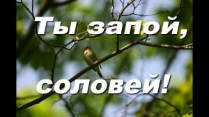 ТЫ ЗАПОЙ, СОЛОВЕЙ. СЛ. Л.В. СИДОРОВА, МУЗ. АРХИД. РОМАНА (ТАМБЕРГА)