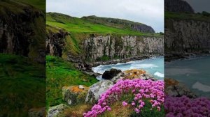 Zombie Cranberries.
 Cover by Piano. 
 Vocal Tatyana.