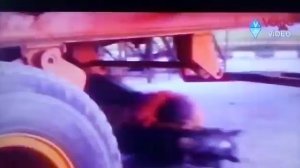 Это что то неземное. Это индийский фильм когда человек на лошади пролетает под грузовиком. МИСТИКА