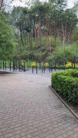 Площадка с тренажёрами у Сосновой горки в Кисловодском парке