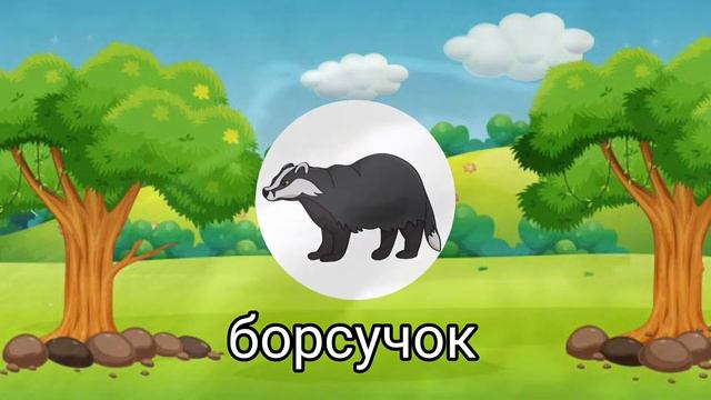 Пізнавальне відео-спостереження. Як виглядають дикі тварини.