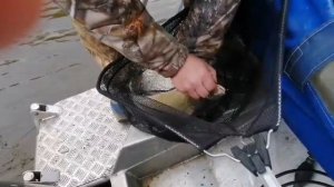 открытие поплавка состоялось, монстры нас дождались.