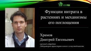 «Функции нитрата в растениях и механизмы его поглощения» (Дмитрий Евгеньевич Храмов)