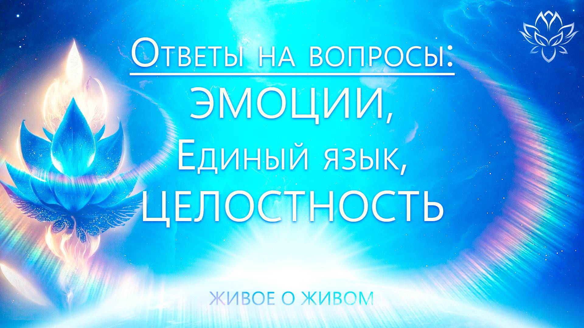 Эмоции. Любовь. Целостность. Язык. Новые качества