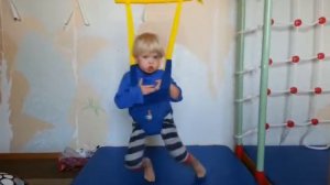 черепаха Папаха