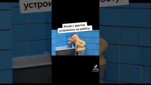 БИБА И БОБА