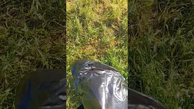 1000477516.mp4