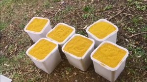 кассетное пчеловодство