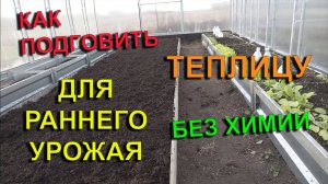 ✅ Как подготовить теплицу для раннего урожая без химии