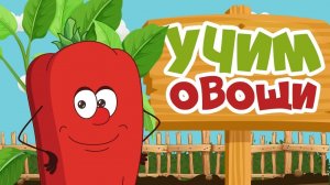 Овощи для самых маленьких | Мультики для малышей