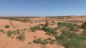 Пустыня // едем в Астрахань // август 2022