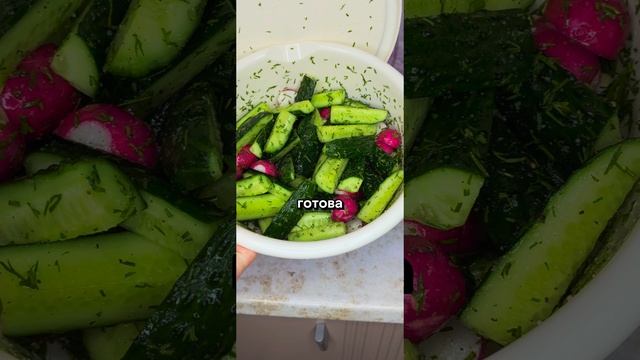 Маринованные и малосольные закусочные огурчики. Сразу 2 рецепта в одном.