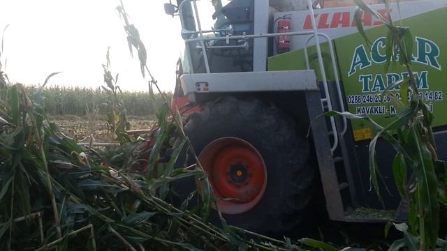Sizce kemper tabladan başkası biçermi ? ( claas jaguar 870 kemper 445) Acar tarım-kırklareli смотреть онлайн