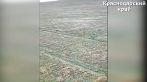 Краснодарский_край_ПОТРЯСЕН_невероятным_градом_в_Новокубанском_Апшеронском районе