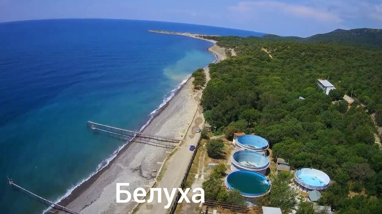 утришская морская станция чёрное море