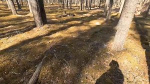 Что есть, то есть... Выпуск #4.