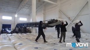 Савинские грузчики:выгрузка сахара  из вагонов в штабель!