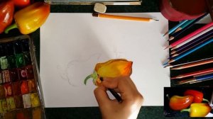 Как нарисовать перец|Акварель
