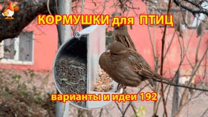 Кормушка для птиц своими руками как сделать пошагово (192) 🪚🪛🔨 Идеи для дачи и сада❣️