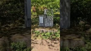 Парк пионов... Любуйтесь....