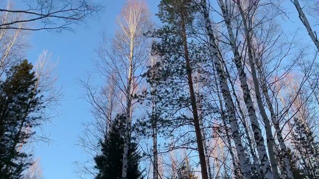 Маньпупунёр на снегоходах 2023. Лучшие моменты. смотреть онлайн