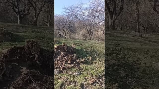 1000327540.mp4 НАЛЬЧИК.28.03.2024.Мои прогулки и путешествия.Возвращаемся от лесничества к санатор