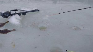 Рыбалка зимняя на Океанской. Забытый способ ловли #камбала Улов отличный