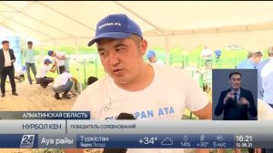 Турнир по стрижке овец провели в Алматинской области