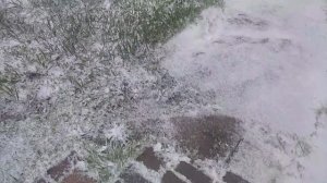 Зима в Самаре! 🤣👍🌨️❄️🌳🌱