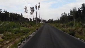 КП Фенино Лесное