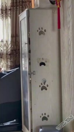 Выбрался из под замка