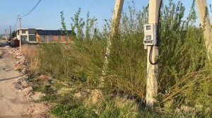 Обзор земельного участка в Калининградской области