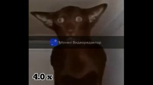 МИША ТЫ ЧТО ПУКНУЛ? НА РАЗНЫХ СКОРОСТЯХ