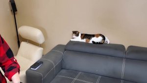 Потерянные посылки/ Распаковка палета/ БОЛЬШАЯ ВЫГОДА/ Открываем посылки/ Распаковка в Канаде