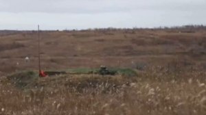 Корейцы