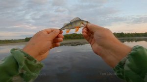 Мормышинг, с почином Ivan-Efimoviih. 12.08.2024г.